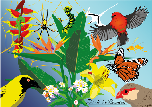 Affiche ile de la Réunion 1